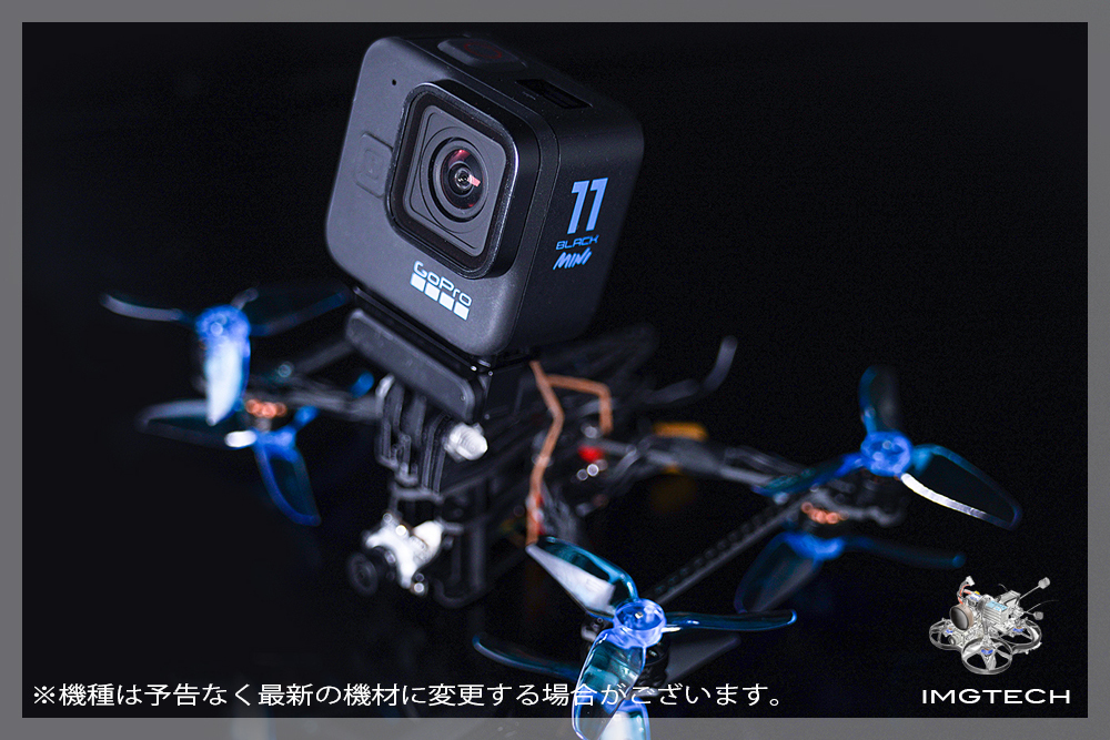 cicada L+